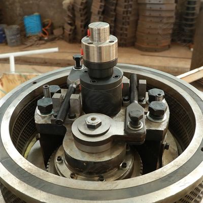 Nhiên liệu Máy làm viên gỗ Bạch đàn Vòng thẳng đứng Die 3t / H