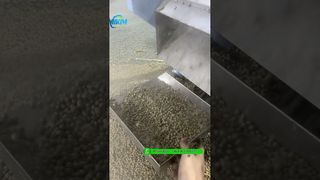 Thử nghiệm máy ép viên thức ăn cho cá nổi 200kg/h trước khi đóng gói #fishfeedmachine