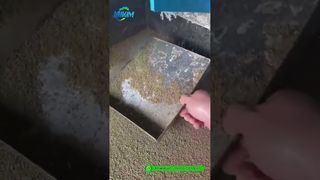 Máy nghiền viên thức ăn cho tôm | Nhà máy Sản xuất thành phẩm Demo#máy ép viên thức ăn chăn nuôi